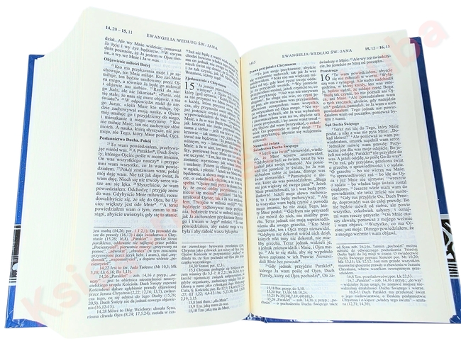 Pismo Święte Tysiąclecia Pallottinum format oazowy