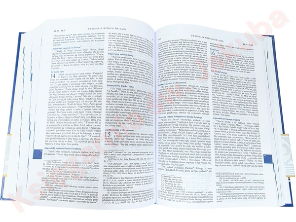 Pismo Święte Tysiąclecia Pallottinum Duże A5